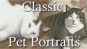 Pet Portraits